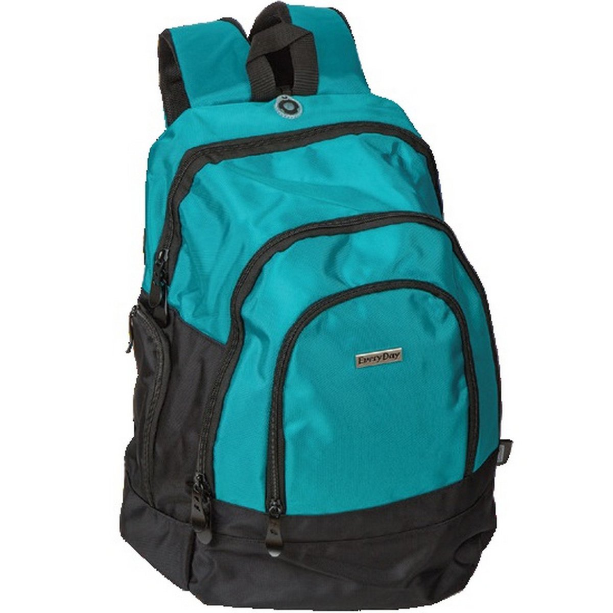 Everyday Backpack ED160131 20inch