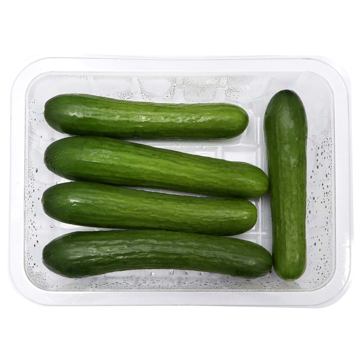 Cucumber Hydroponic Bag Saudi 1kg
