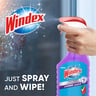 Windex  Glass Cleaner Lavender 750ml