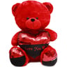 First Step Teddy Bear Plush 40 cm XH1778-2