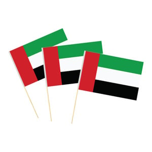 Sadaf UAE Flag Wooden Handle 14X21cm