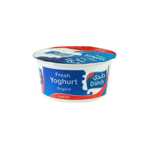 Dandy Fresh Yoghurt Original Low Fat 170ml
