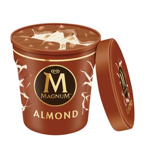 Magnum Ice Cream Tub Almond 440ml