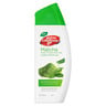 Lifebuoy Antibacterial Matcha Green Tea And Aloe Vera Bodywash 300 ml