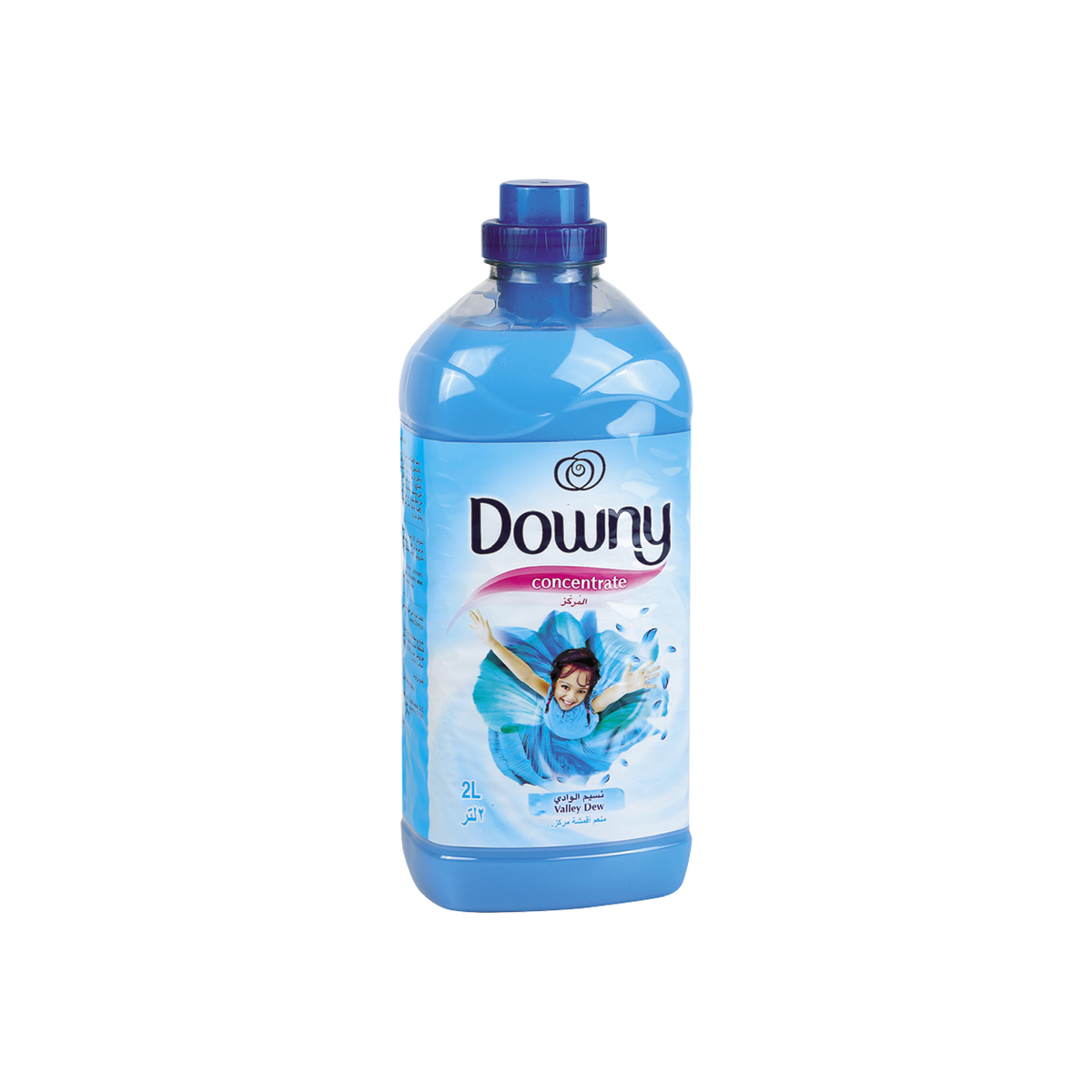 Downy Fabric Softener Concentrate Valley Dew 2Litre