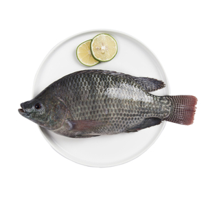 Tilapia Fish Local 1kg Approx. Weight
