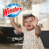 Windex Streak Free Shine Glass Cleaner Jasmine 750ml