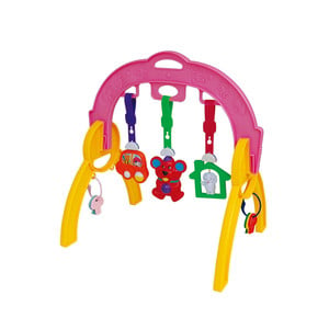 First Step Baby Play Gym 206-16