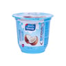Dandy Coconut Flavoured Yoghurt 120g