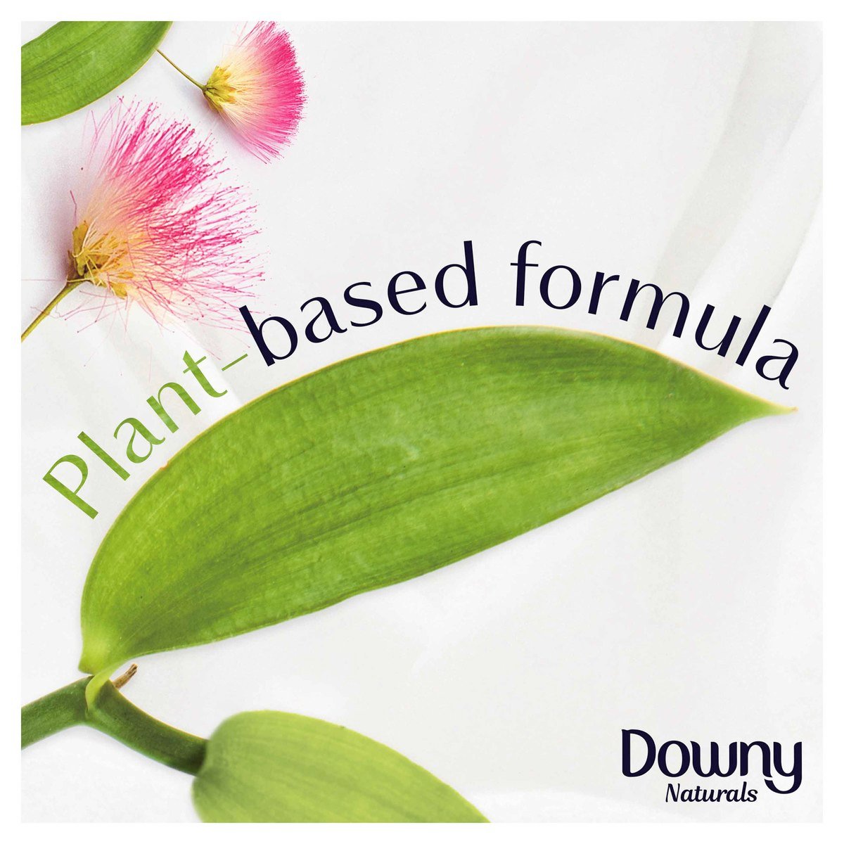 Downy Naturals Concentrate Fabric Softener Silk Tree Blossom Scent 880ml