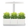 Mini Garden LED Gardening Frame with Pot (Plant & Soil Not Included)MG001