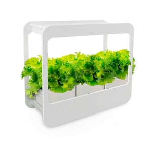 Mini Garden LED Gardening Frame with Pot (Plant & Soil Not Included)MG004