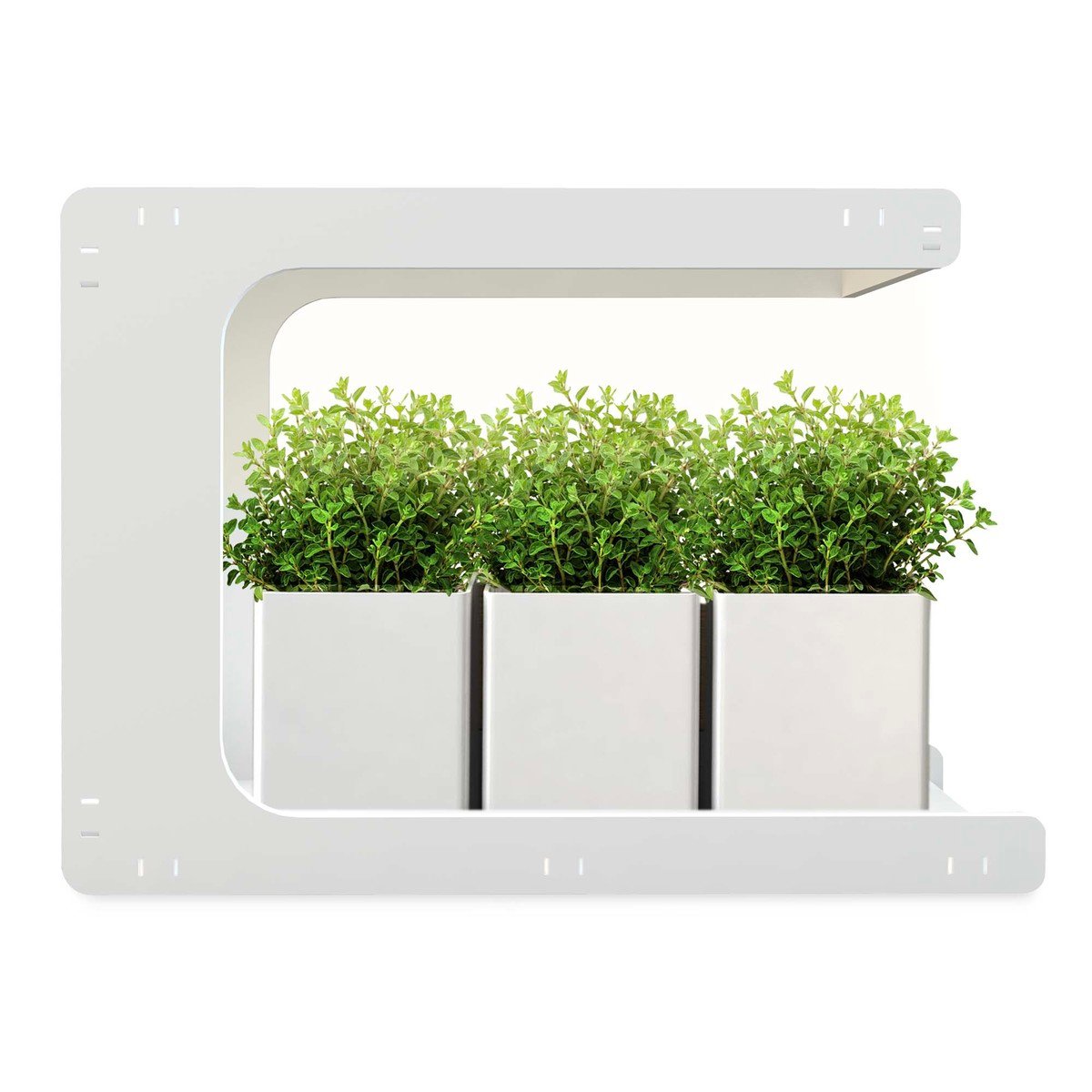 Mini Garden LED Gardening Frame with Pot (Plant & Soil Not Included)MG009