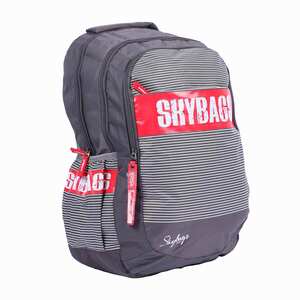 Skybags Backpack FigP6 18inch, Grey