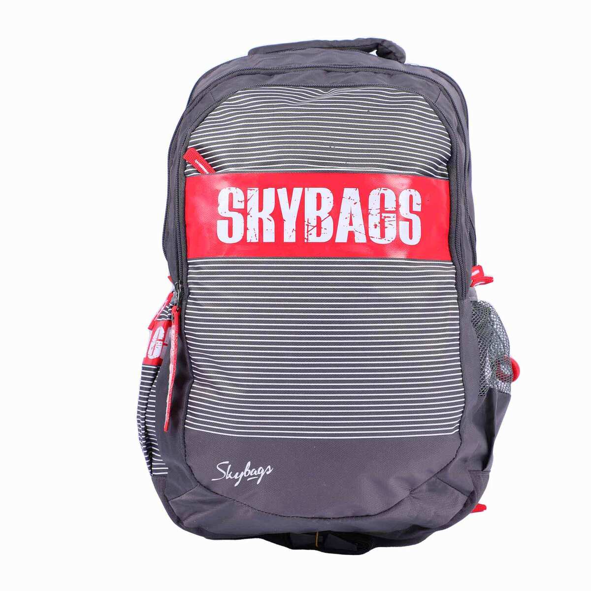 Skybags Backpack FigP6 18inch, Grey
