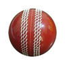 Speed Up Cricket Ball Leather 2683
