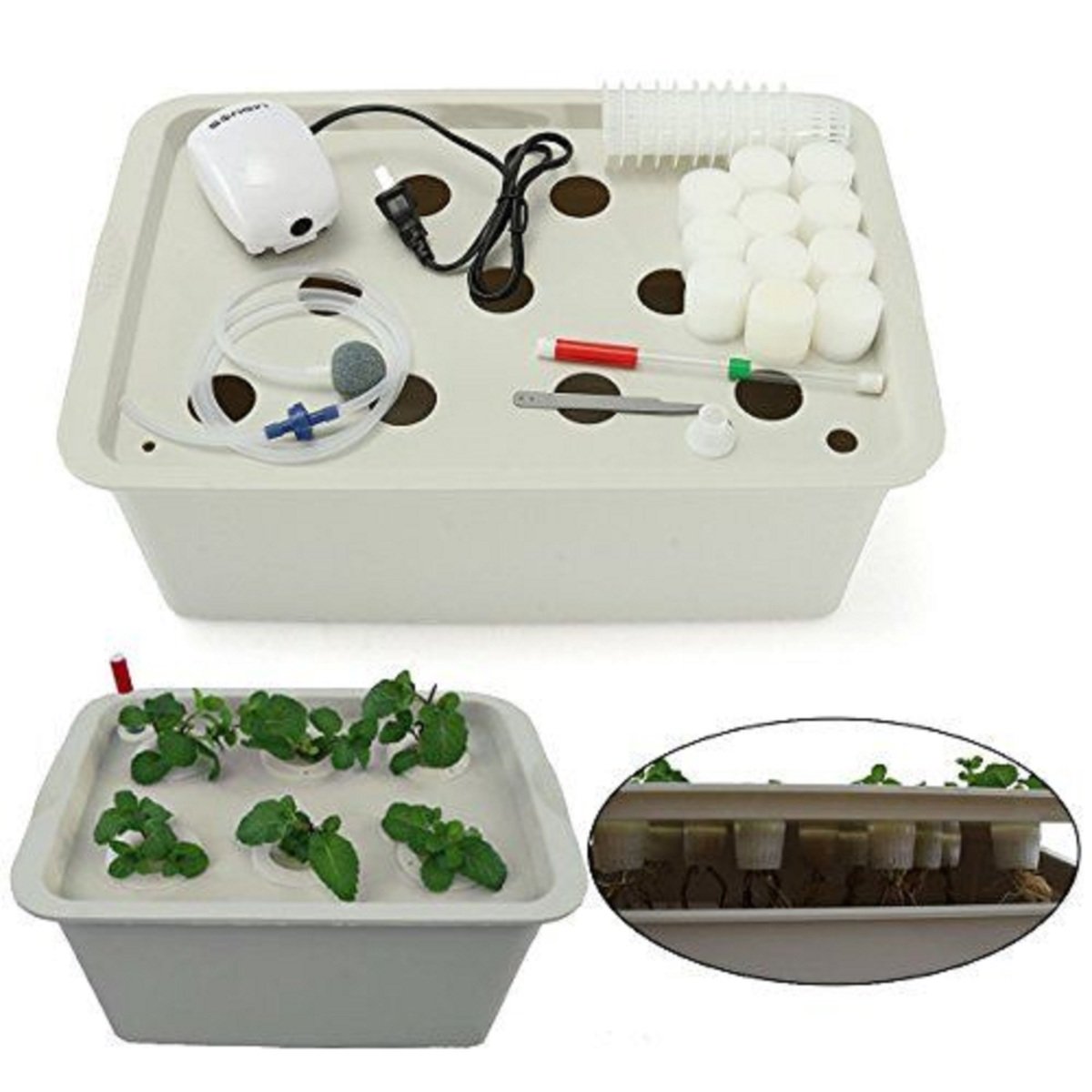 Green Sand Hydroponic Grower Kit With BS Pulg GS06 Assorted Colors