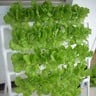 Green Sand Single Side Hydroponic Planting System 36 Holes GS04