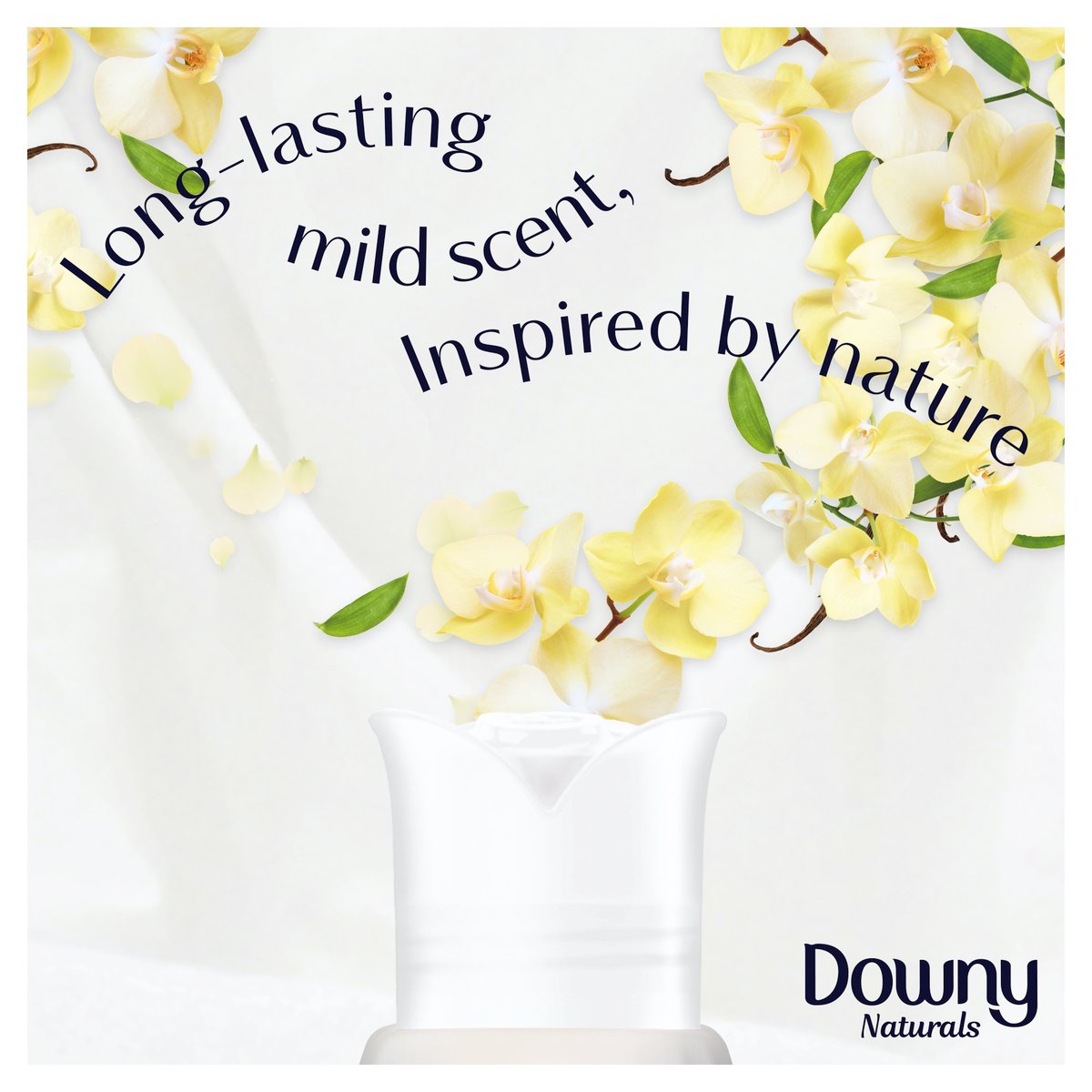 Downy Naturals Concentrate Fabric Softener Vanilla Scent 2 x 880ml