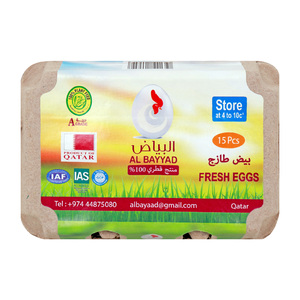 Al Bayyad Fresh Eggs 15pcs