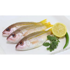 Naizer Fish Medium 1 kg