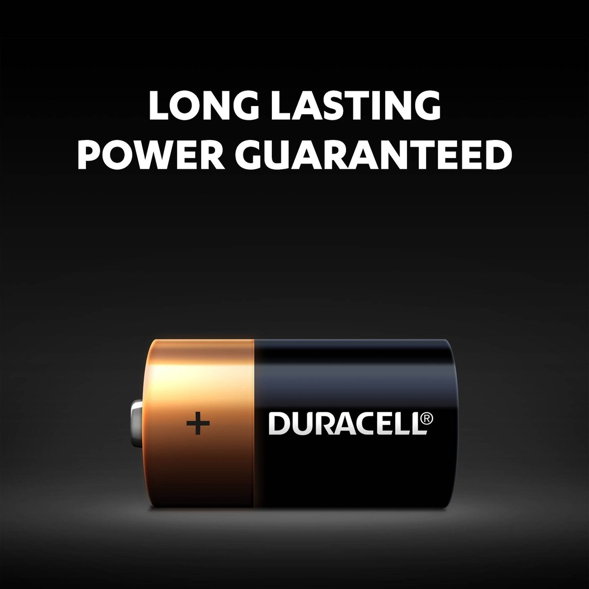 Duracell Type C Alkaline Batteries, pack of 2