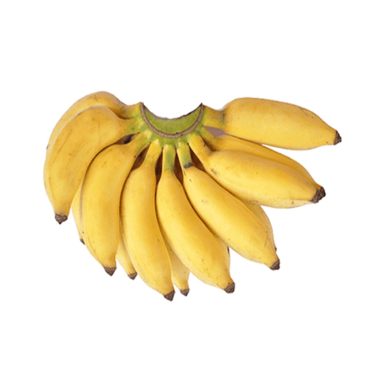 Banana Yalakki 500g
