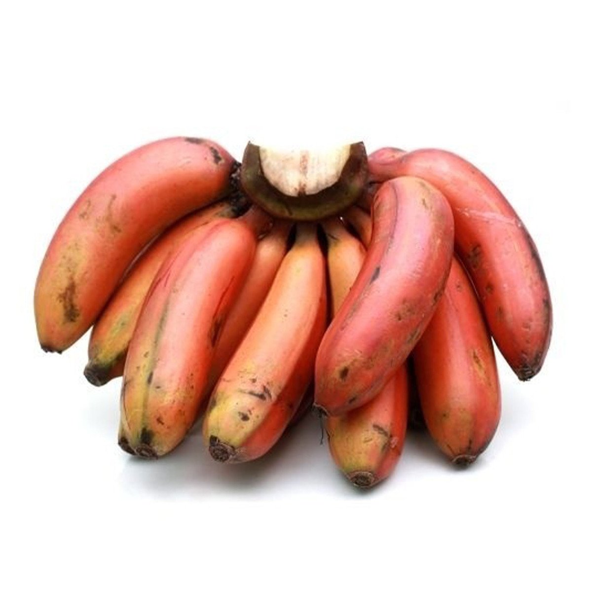 اشتري قم بشراء موز بوفان أحمر هندي 500 جم Online at Best Price من الموقع - من لولو هايبر ماركت Bananas في الكويت