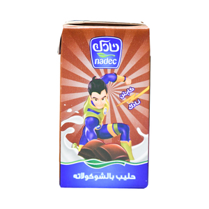 Buy Nadec Chocolate UHT Milk 125 ml Online at Best Price | UHT flavoured milk drink | Lulu Kuwait in Kuwait