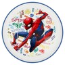 Spiderman Graffiti Bicolor Premium Plate 