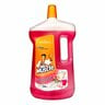 Mr. Muscle All Purpose Cleaner Floral 2.5Litre