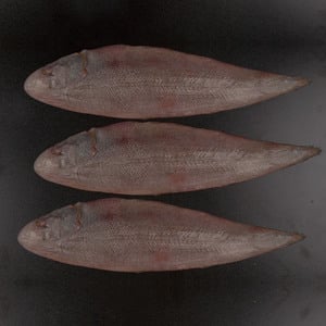 سمك دوفر سول صغير كامل طازج منظف 500 جم