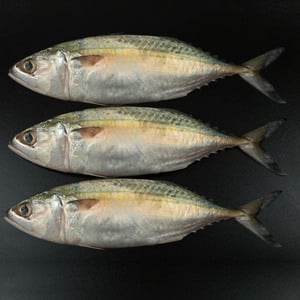 Buy Fresh Big Mackerel Whole Cleaned 1 kg Online at Best Price | Whole Fish | Lulu UAE in UAE