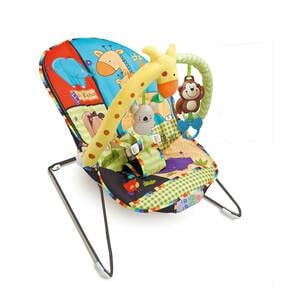 First Step Baby Bouncer CC9925