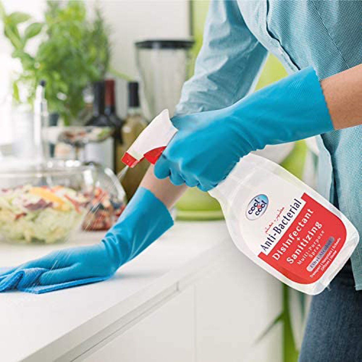 Cool &Cool Anti-Bacterial Disinfectant + Sanitizing Multi-Purpose Spray, 750 ml