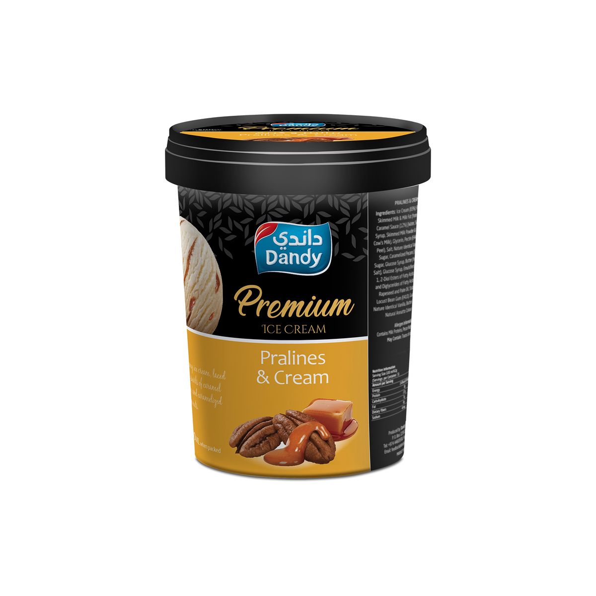 Dandy Premium Ice Cream Pralines & Cream 500ml