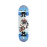 Sports Champion Skating Board XLT-2406A Assorted