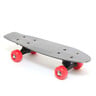 Sports Champion Skating Board XLT-1705A Assorted Color