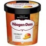 Haagen-Dazs Sorbet Exotic Mango 460 ml