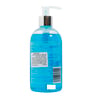PuriClens Hand Wash Moisture Clean And Protect 300ml