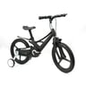 Skid Fusion Bicycle 16" SXJ16 Assorted Color