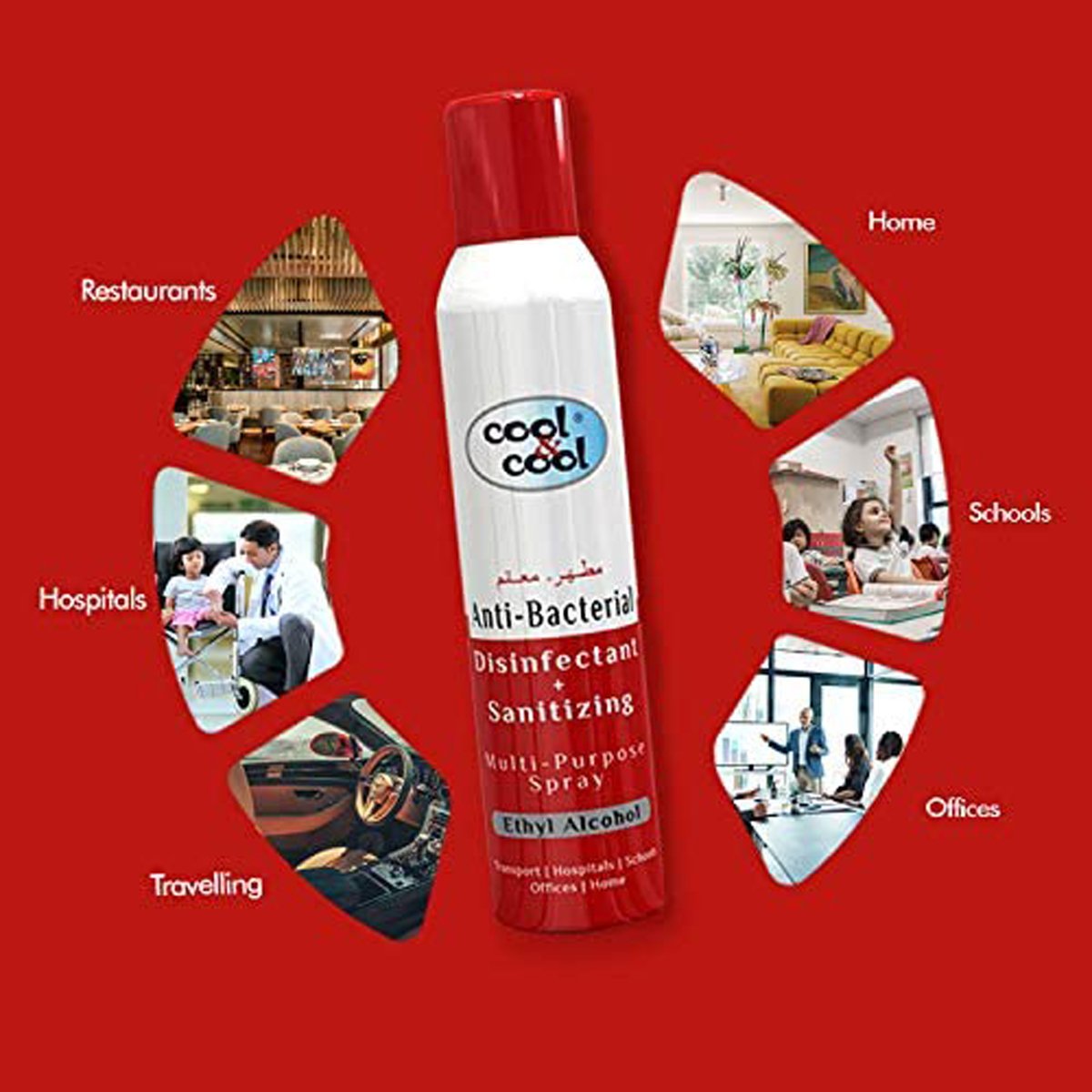 Cool & Cool Anti-Bacterial Disinfectant + Sanitizing Multi-Purpose Spray, 300 ml