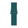 Apple 44 mm MXPN2 Peacock Leather Loop - Large