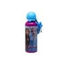 Frozen II School Metal Water Bottle 15-0804