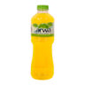 Arwa Delight Citrus Punch Flavoured Water 500ml