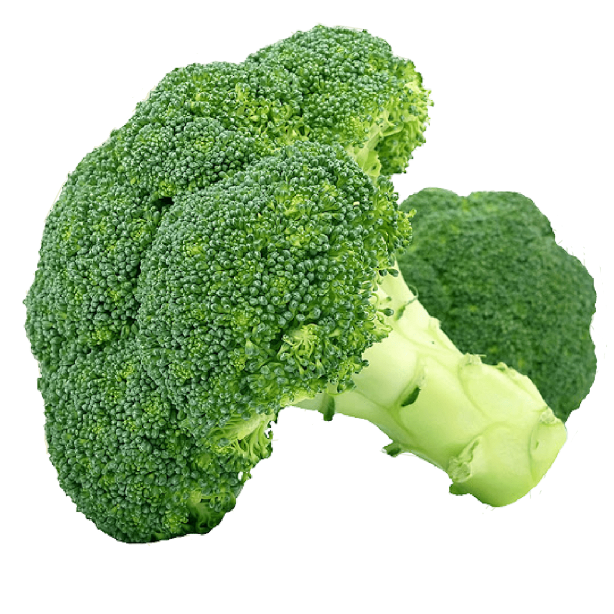 Fresh Broccoli Iran 400 g