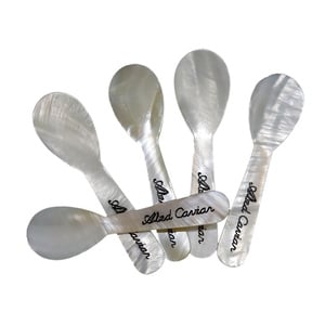 Abed Mother of Pearl Spoon 1pc