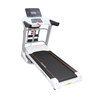 Techno Gear Electric Treadmill With Massager TG680ADS 3HP