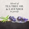 Hair Food Purifying Conditioner Tea Tree & Lavender Water 300 ml