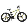 Phonix Bicycle 20" ALY1950016